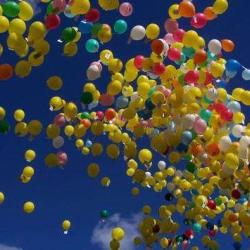 Fête Locale De La Croix Valmer