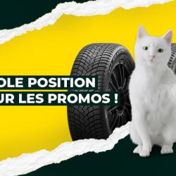 Feu Vert