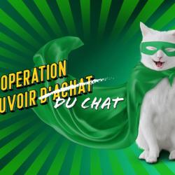Feu Vert