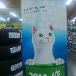 Feu Vert