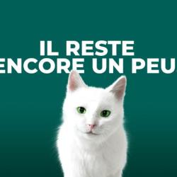 Feu Vert