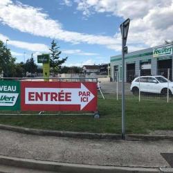 Feu Vert