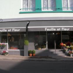 Feuille Et Fleur