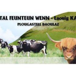 Feuntenn Wenn