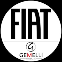 Fiat / Fiat Pro Orange - Gemelli Mobilité