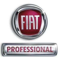 Fiat Professional Pedinielli