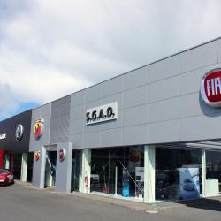 Fiat Professional S.g.a.o.