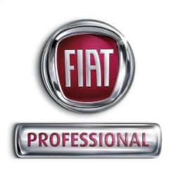 Fiat Professional Troyes - Groupe Froment