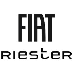 Fiat Saint-maximin - Groupe Riester