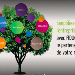 Fiducial Expertise