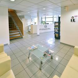 Fiducial