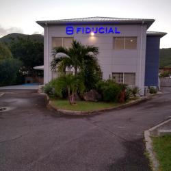 Fiducial