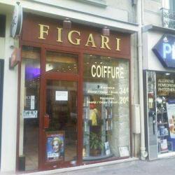 Figari