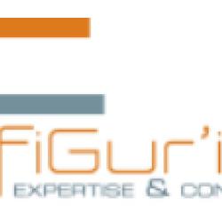 Figur'in Expertise Comptable Et Conseil 75
