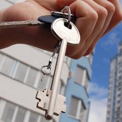 Fim Immobilier
