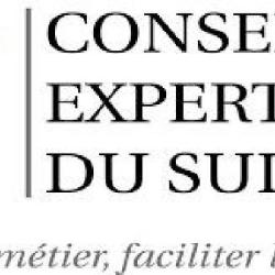 Finance Assistance Conseil Expertise   (f.a.c.e)