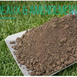 Fiol Graines Et Semences