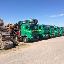 Fischbach Frères Bois Et Transport
