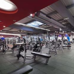 Fitlane