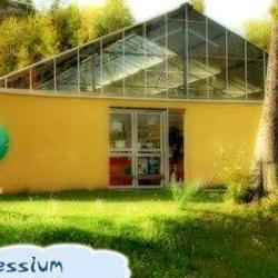 Fitnessium