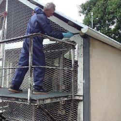 Fl Net Services