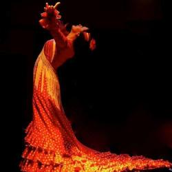 Flamenco Libre