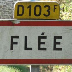 Flée