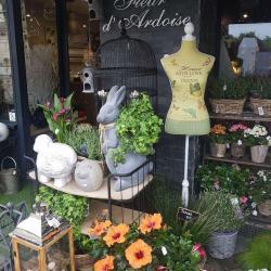 Fleur D'ardoise