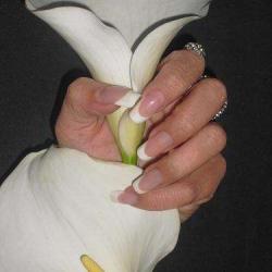 Fleur D'ongle
