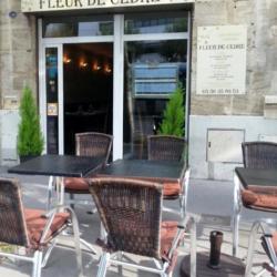 Fleur De Cèdre