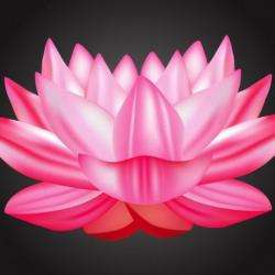 Fleur De Lotus