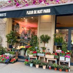 Fleur De Nuit