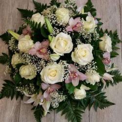 Hellebore- Fleur De Pau