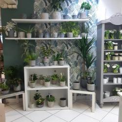 Fleuriste California Gironde Sur Dropt