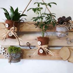 Fleuriste De La Balme
