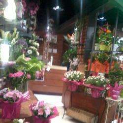 Fleuriste La Saladelle