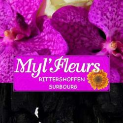 Fleuriste Myl Fleurs