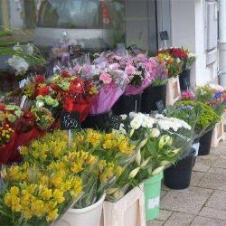 Fleuriste Créateur Plouay