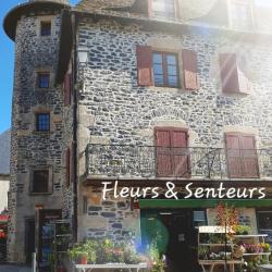Fleurs And Senteurs