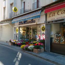 Fleurs Au Chardon