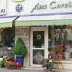 Fleurs Aux Corolles