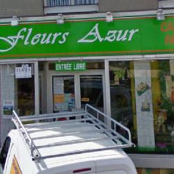 Fleurs Azur