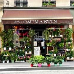 Fleurs De Caumartin