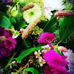 Fleurs De Cel'