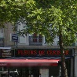 Fleurs De Cerisier