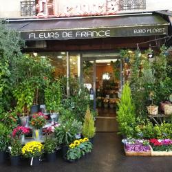 Fleurs De France
