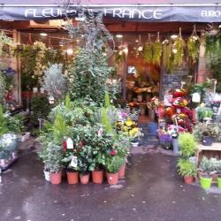 Fleurs De France