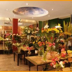 Fleurs De France