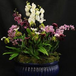 Fleurs De Prestige