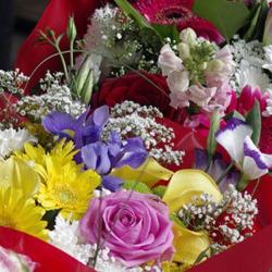 Fleurs De Roye